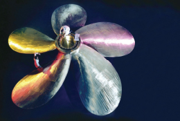 Büyük Pervanelere Övgü